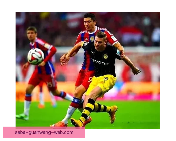 世界杯足球竞猜策略解析与趋势预测 让您轻松掌握比赛走势